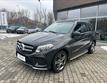 Mercedes-Benz GLE 2,2 4MATIC 250D